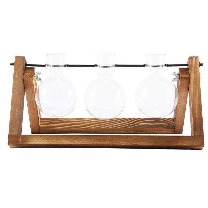 Desktop Glass Planter Bulb Vase Air Plant Terrarium with Wooden Stand for Hydroponics Plants Cuttin