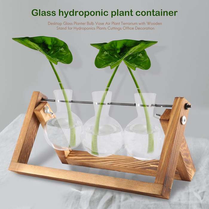Desktop Glass Planter Bulb Vase Air Plant Terrarium with Wooden Stand for Hydroponics Plants Cuttin
