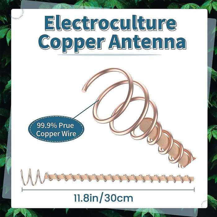 Electroculture Plant Stakes, 6Pcs 11.5Inch Long Electroculture Gardening Copper Coil Antennas for Gr