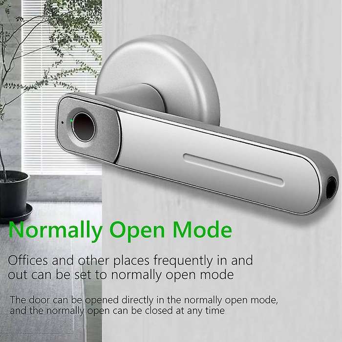Fingerprint Door Lock Handle Smart Electric Biometric Entry with 2 Keys Anti Theft Lock for Apartmen