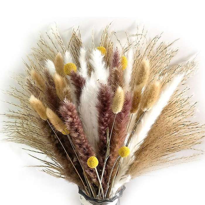 66pcs Dried Pampas Grass Decor Wedding Diy Bohemian Bouquet for Home