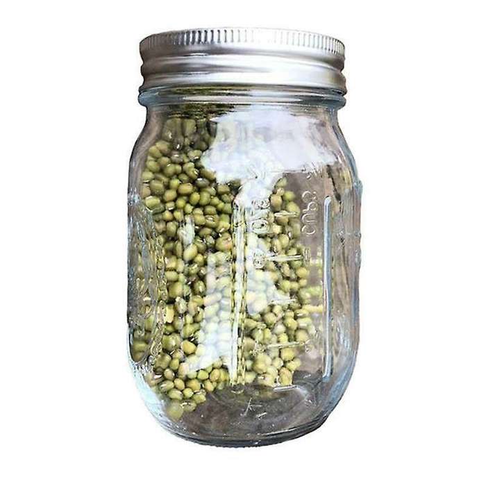 Sprouting Jar with Screen Lid Wide Mouth Quart Mason Sprouter