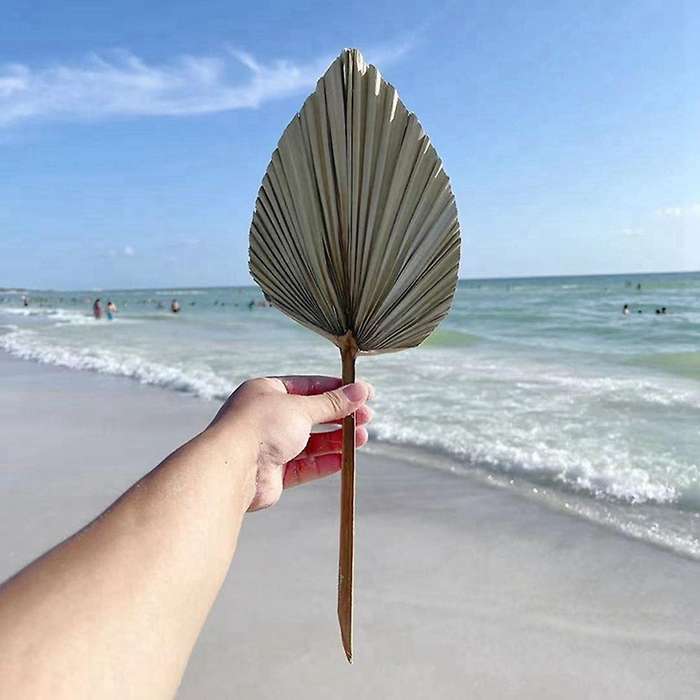 5pcs Trimmed Dried Palm Leaves, Boho Wedding Decor