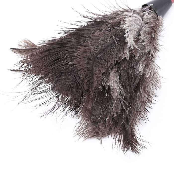 Feather Duster Soft Feathers Duster From Furniture to Fan Blades