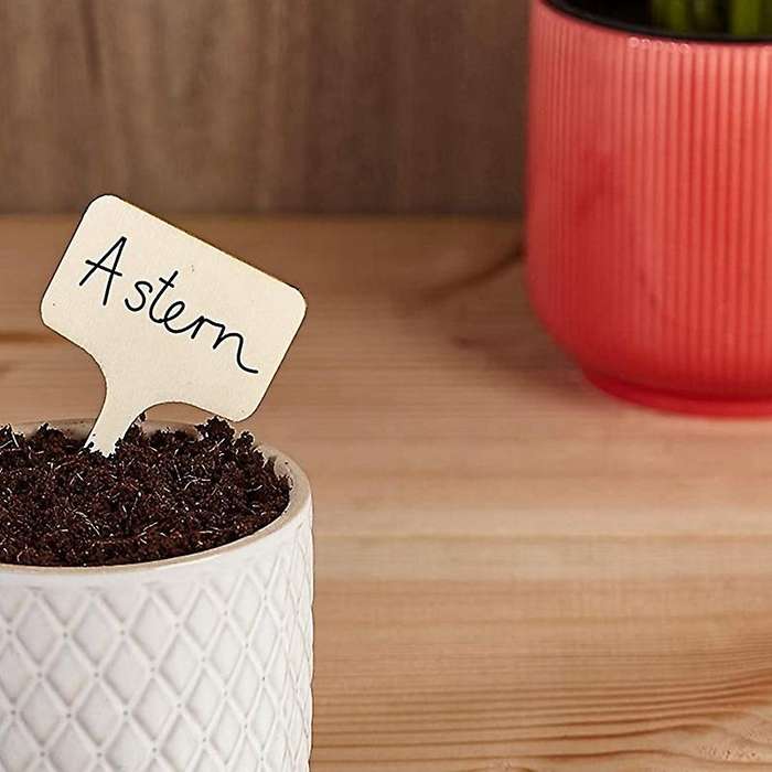 100pcs Wood Plant Labels, T-type Wooden Plant Sign Tags (6 X 10cm)