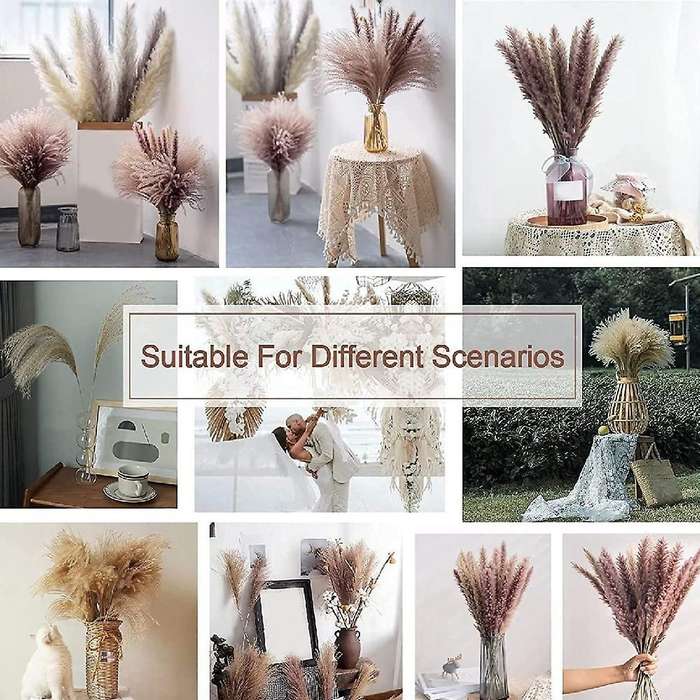 60 Pcs 17.5inch Natural Pampas Grass Branches,for Wedding,home Decor