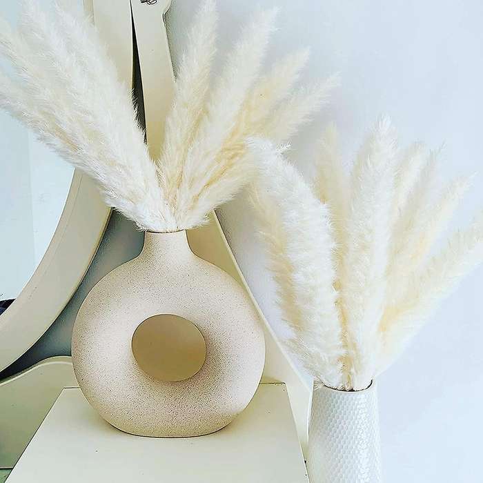 30 Pcs White Pampas Grass,17inch for Home Kitchen Photographing