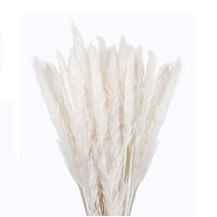 30 Pcs White Pampas Grass,17inch for Home Kitchen Photographing