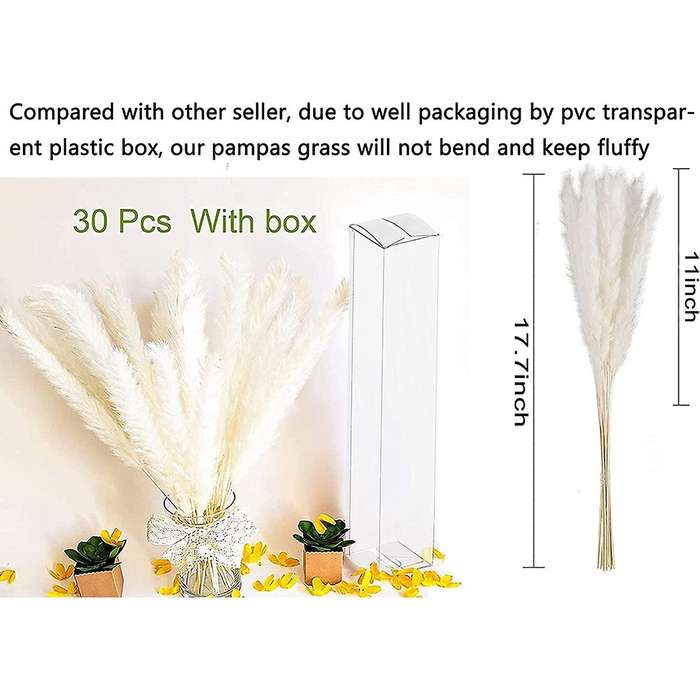 30 Pcs White Pampas Grass,17inch for Home Kitchen Photographing