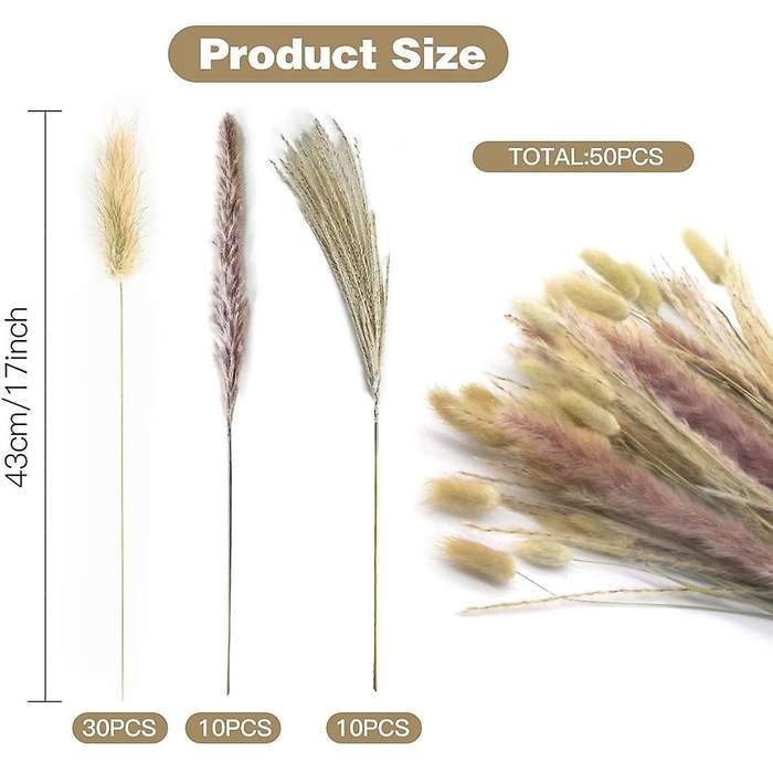 50pcs Pampas Grass Decoration, Pampas Grass, Small, Pampas Pampas