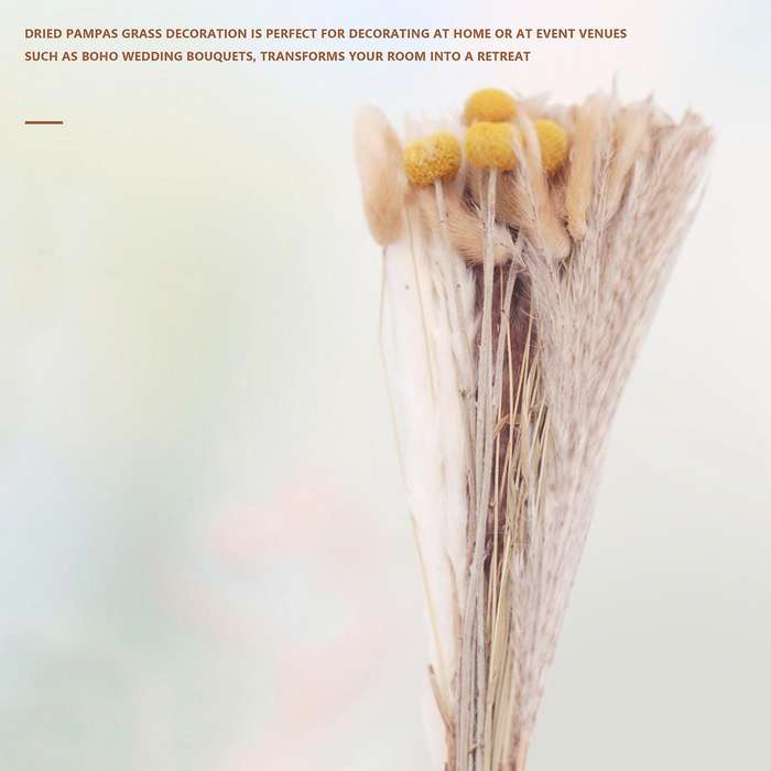 Pampas Grass Dried Dried Flowers Pampas Grass Decoration Natural