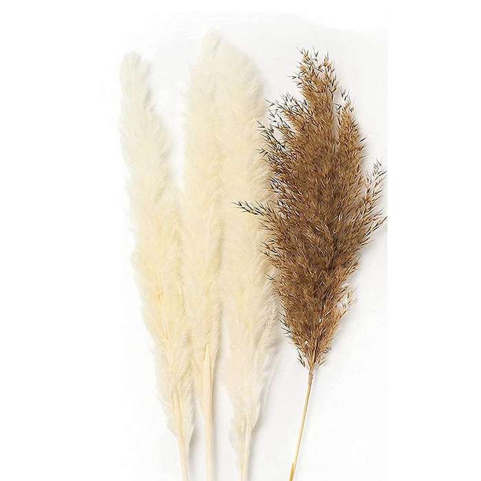65 Pcs Pampas Grass Decor, for Wedding Kitchen Yard Home Decor