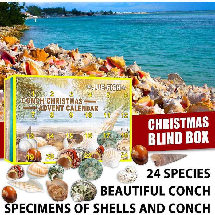 Conch Blind Box 24pc Christmas Advent Calendar Conch Gift Box Set