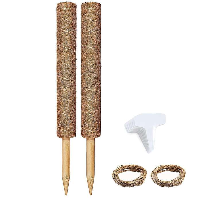 2 Pack Moss Poles for Indoor Plant Support,potted Plants Grow Upwards