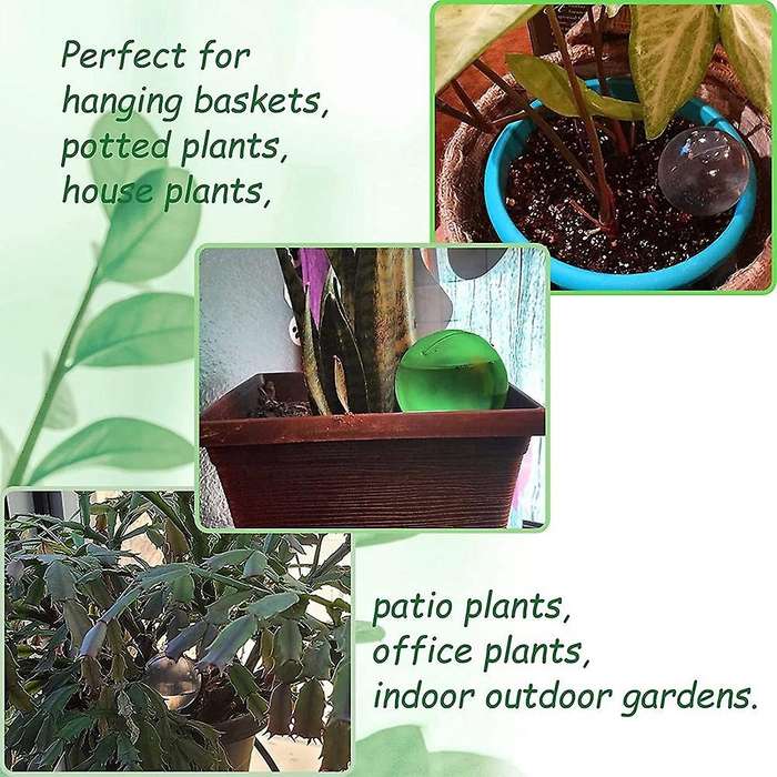 12 Pack Automatic Watering Bulbs,self-watering Globes,plastic Self B