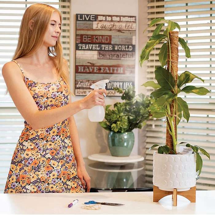 Moss Poles for Climbing Plants - Pack Of 2 16 Inch Coco Coir Poles
