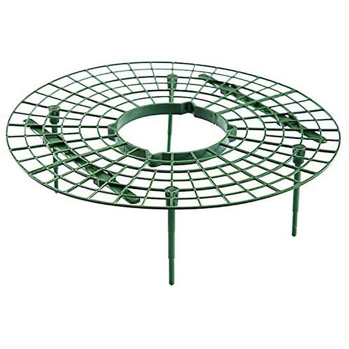 5 Pack Strawberry Growing Racks Strawberry Planting Stand Plant Stand