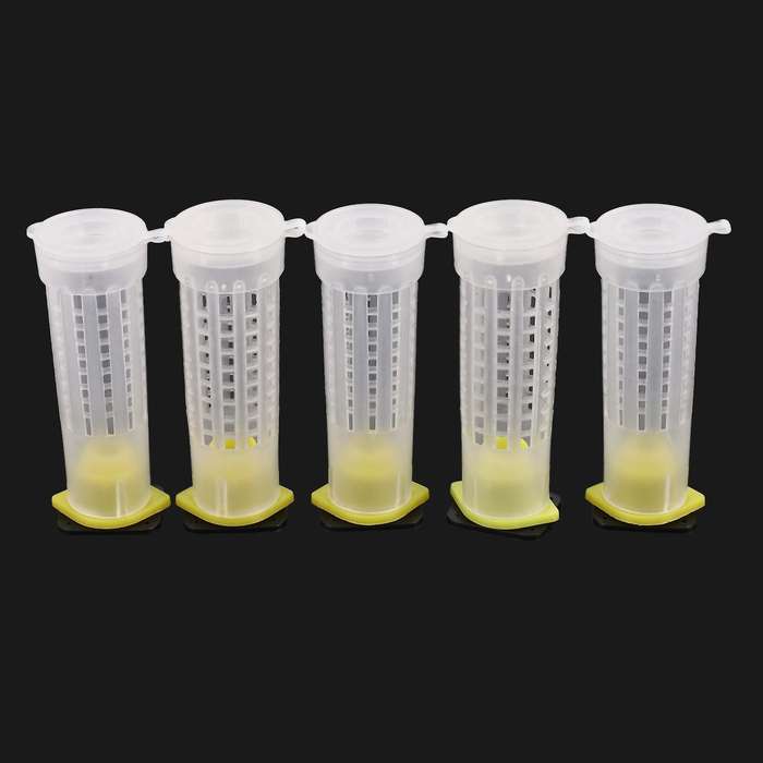 50pcs Bee Queen Cages Plastic Protective Cover Rearing Bees Tools