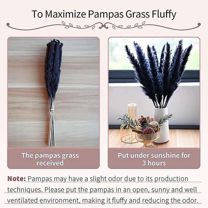 30pcs Black Pampas Grass, 17 Inch Natural Dried Fluffy Small Stems