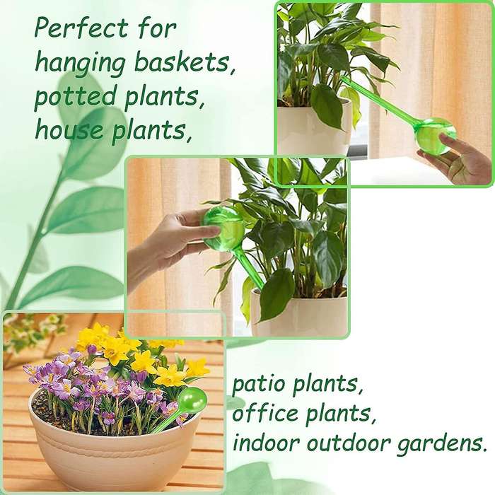 12 Pack Plant Watering Globes,plastic Self-watering Bulbs,for Plants