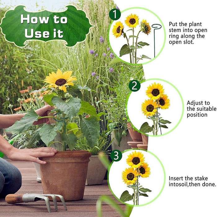 6pack 15.8in Plant Support Stakes,for Amaryllis,orchid,lily, Tomatoes