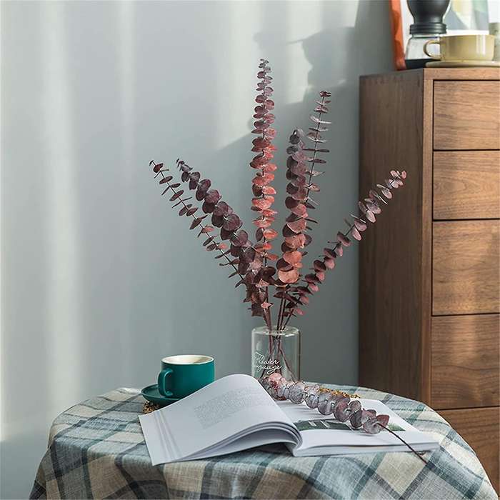 Dried Eucalyptus Bundle,12 Pcs Natural Preserved Eucalyptus Stems