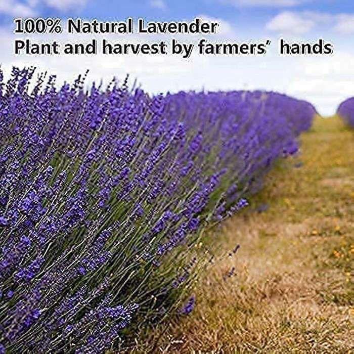 Dried Lavender Bundles for Home Decoration,photo Props,2 Bundles Pack
