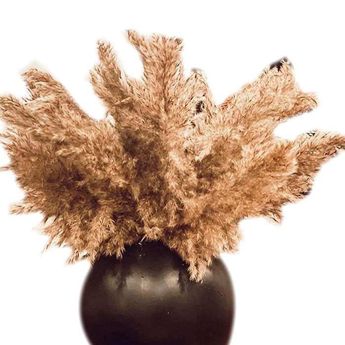 Boho Decor Pampas Grass Fluffy Pompous 30-stems Small Dried Flowers