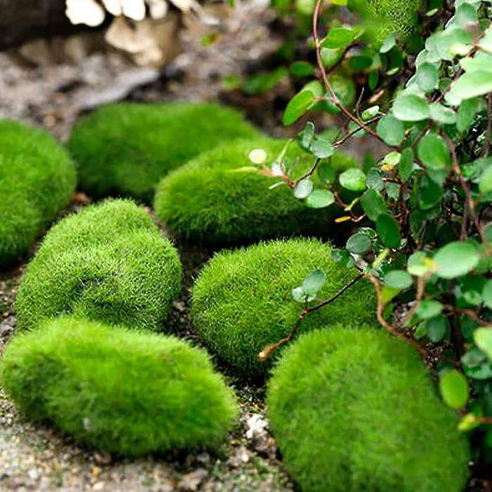 Faux Green Moss Covered Stones,for Floral Arrangements,fairy Gardens