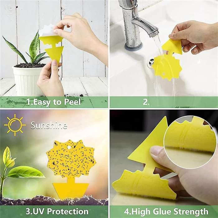 24 Pcs Sticky Traps for Fruit Fly,whitefly, Gnat,mosquito and Bug,sticky Insect Catcher Traps for I