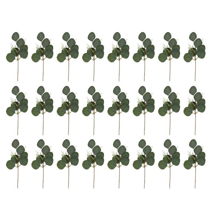 24pcs Artificial Seeded Eucalyptus Leaves Stems Faux Silver Dollar Eucalyptus Plant Branches for We