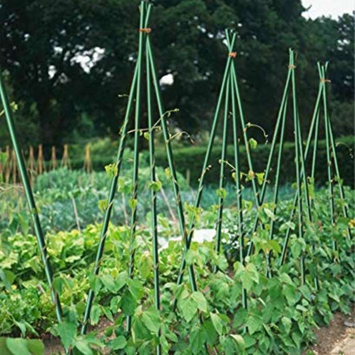 25 Pack Garden Stakes Metal Plastic Coated Plant Cage Supports Climbing for Tomatoes,Trees,Cucumber