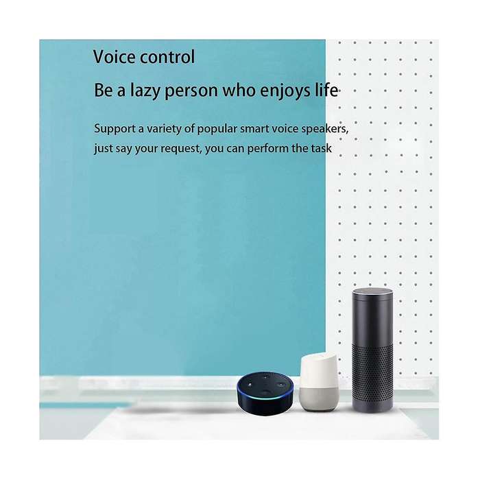 2ch Tuya Wifi Smart Switch Diy Timer+remote 85-265v Usb 5v 2.4g Wifi Smartlife Home Automation Modu