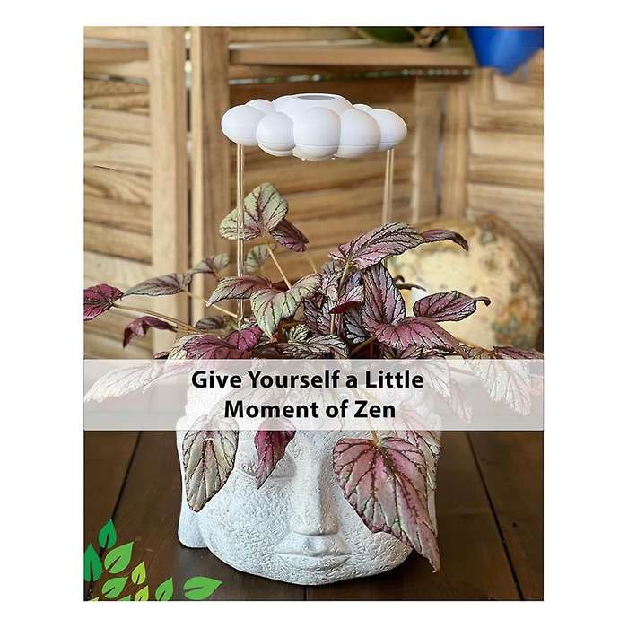 2PCS Courtyard Plants Garden Decorations Plant Watering Rain Cloud