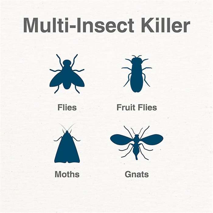 2PCS Electric Flying Insect Trap Kit Sticky Catcher Traps for Indoor Fly, Flying Insect, Mosquito, G