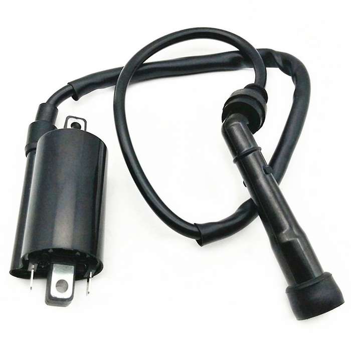 2pcs Motorcycle Ignition Coil Ignition System Unit for V Star 650 1999 -2014 GN250 ATV 300CC