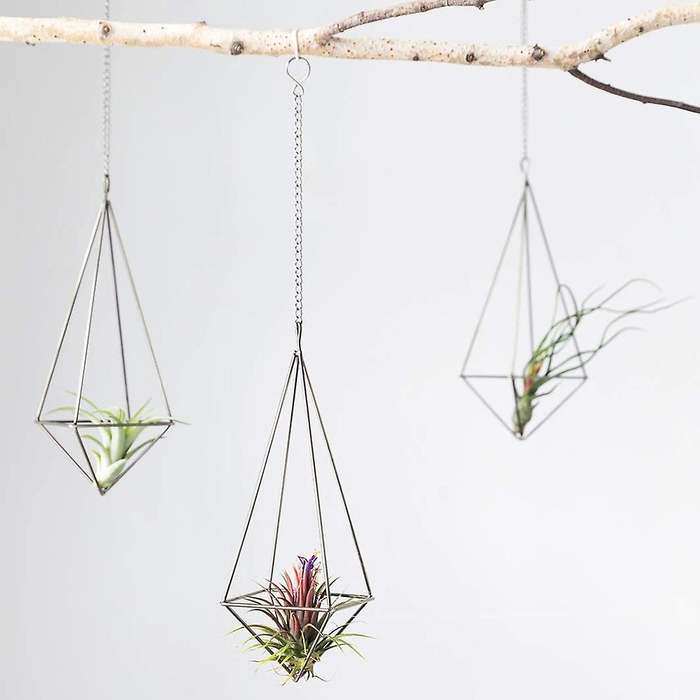 3 Pack Hanging Air Plant Holder Geometric Planter Air Plant Rack Tillandsia Hanger with Chain for H
