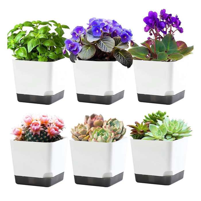 3.9 Inch Succulent Pots with Drainage Hole, 6 Pack Style Small Plant Pots Flower Planters for Indoor