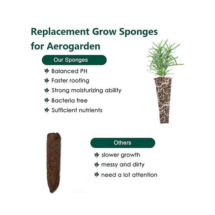 30 Pack Seed Plant Grow Sponges, -friendly Plant Growing Plugs Sponges for Plants Growth