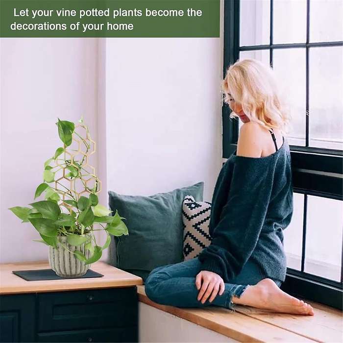 3PCS Wooden Honeycomb Plant Climbing Stand Lattice Climbing Plant Stand Horticultural Potting Stand