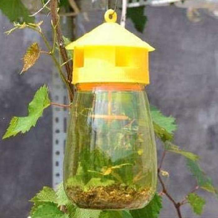 4 Pack Fly Reusable Traps, Fruit Fly Traps Fly Catcher Outdoor