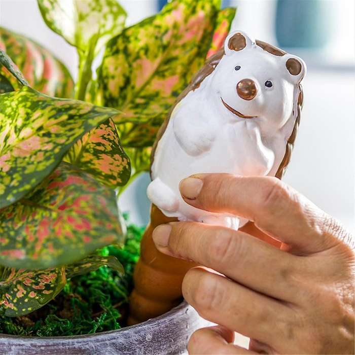 4 Pack Self Watering Spikes Cute Hedgehog Shape Terracotta Indoor and Outdoor Plant Watering Globes