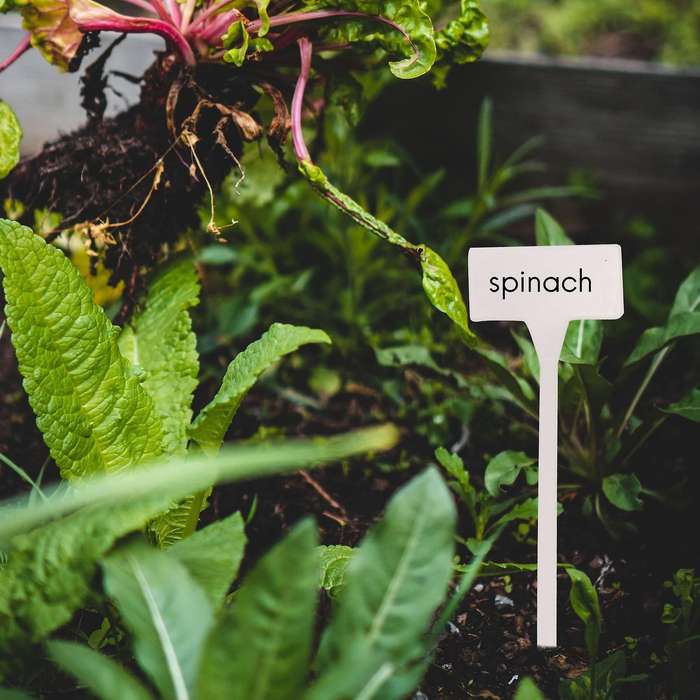 40Pcs Outdoor Plant Label,Waterproof Plastic Plant T-Type Tags, Durable Nursery Garden Markers,Perfe