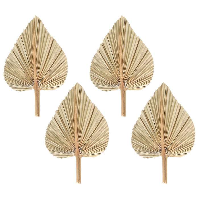 4Pcs Dried Palm Leaves Dried Palm Fans Bohemian Tropical Palm Leaves