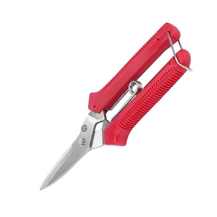 Gardening Hand Pruner Garden Scissors Pruning Shears -tip Pruning Snips Leaf Trimmer Straight Flori