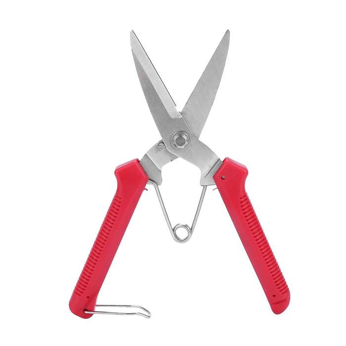 Gardening Hand Pruner Garden Scissors Pruning Shears -tip Pruning Snips Leaf Trimmer Straight Flori