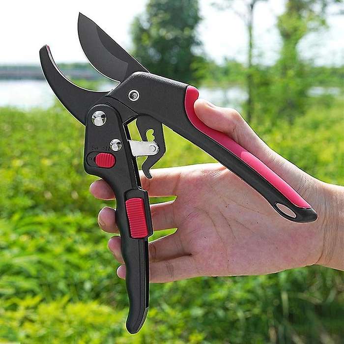 Gardening Pruning Shears with Auxiliary Function are Used for Picking Fruits and Vegetables and Buil