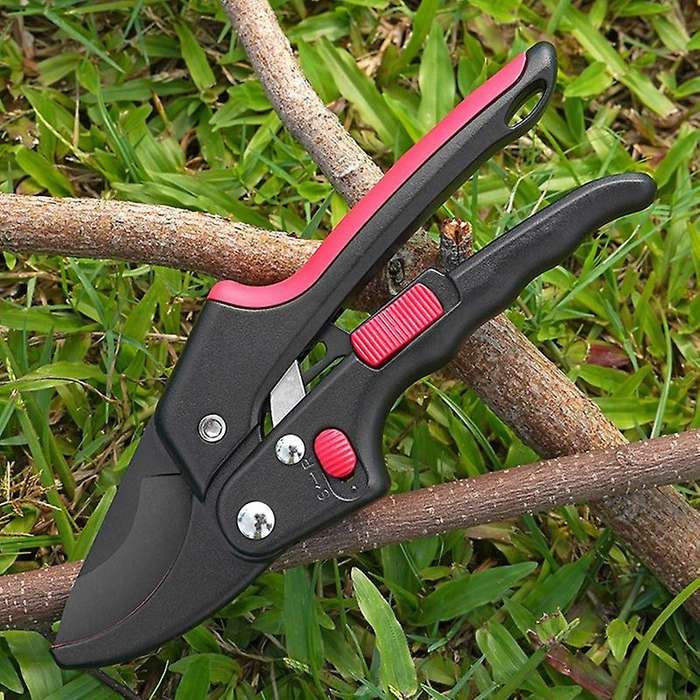 Gardening Pruning Shears with Auxiliary Function are Used for Picking Fruits and Vegetables and Buil