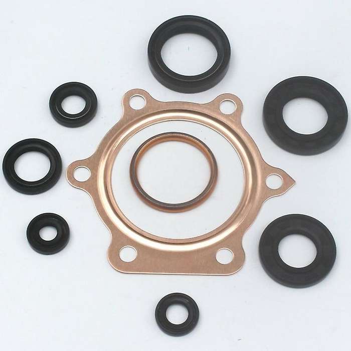 Gasket Kit Complete Set for YFS200 1988-2006 with Oil Seals