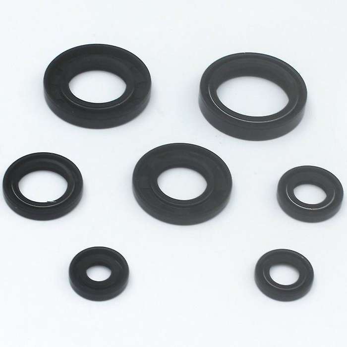 Gasket Kit Complete Set for YFS200 1988-2006 with Oil Seals